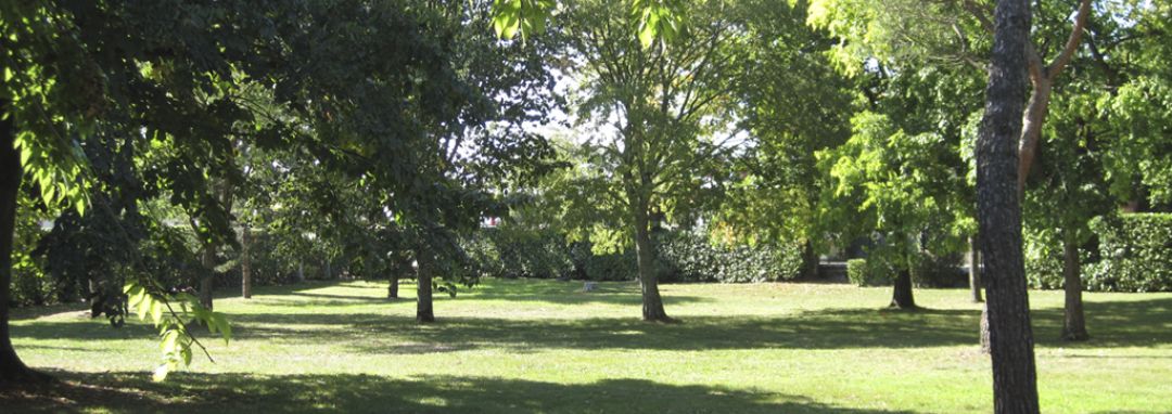 Les allées et jardins du DITEP "Les Ormes"